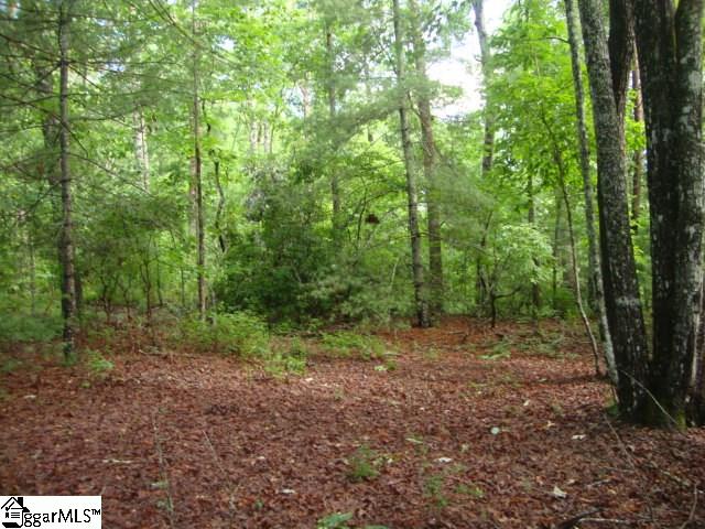 Property image 3 at 0 Keowee Bay Circle, Salem, SC 29676