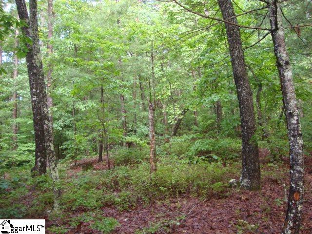 Property image 4 at 0 Keowee Bay Circle, Salem, SC 29676