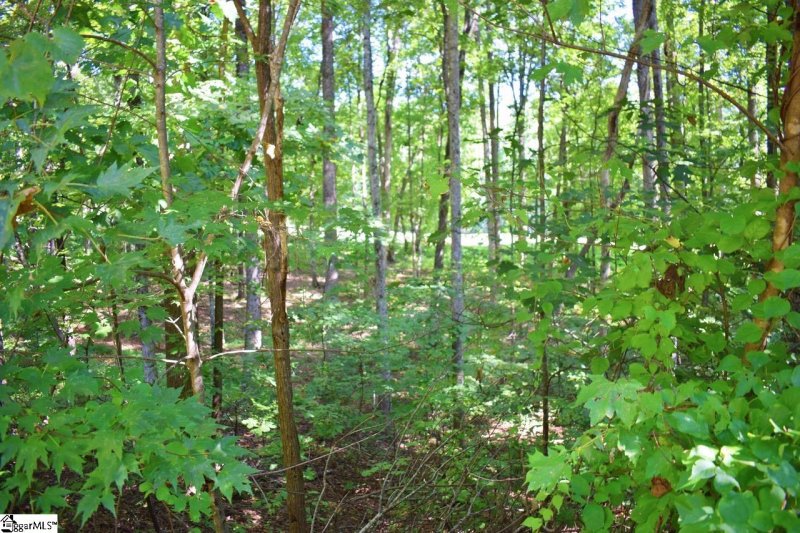 Property image 3 at 130 Laurel Valley Way, Travelers Rest, SC 29690