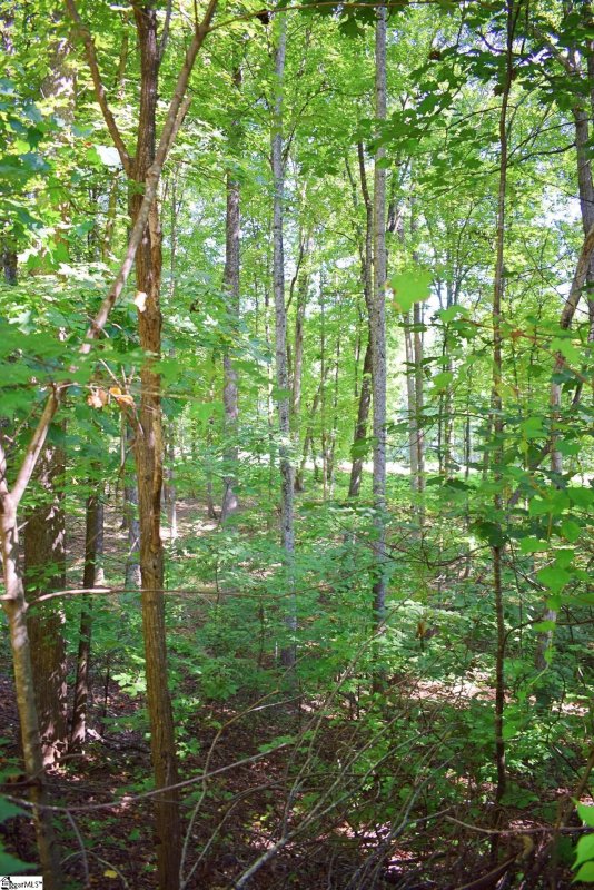 Property image 4 at 130 Laurel Valley Way, Travelers Rest, SC 29690
