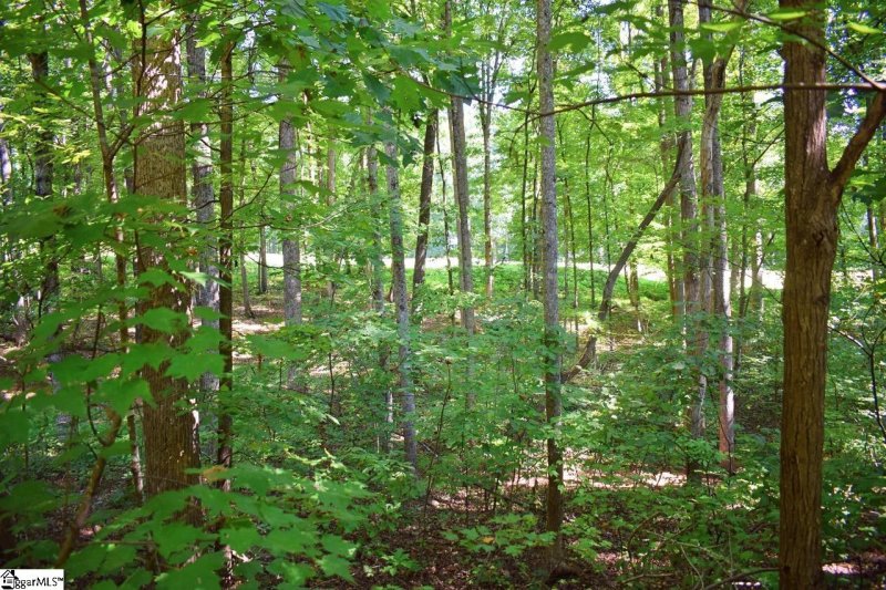 Property image 5 at 130 Laurel Valley Way, Travelers Rest, SC 29690