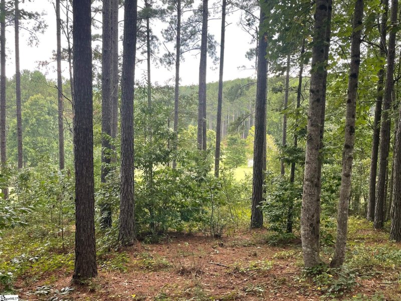 Property image 2 at 116 Long Ridge Road, Sunset, SC 29685