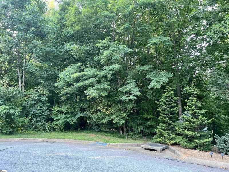 Property image 4 at 20 Savage Court, Travelers Rest, SC 29690