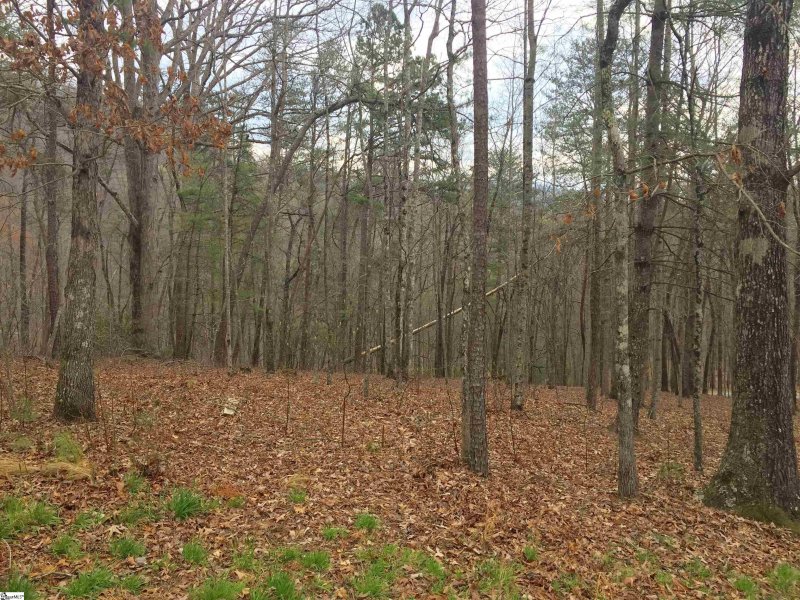 221 Ridge Haven Trail