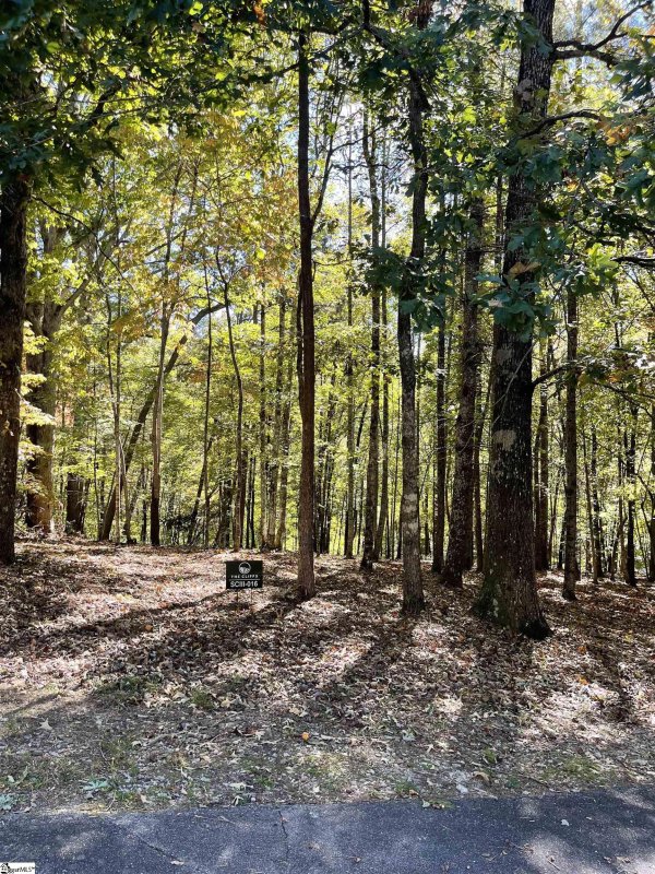 Property image 2 of 221 Ridge Haven Trail in Cliffs Valley, Travelers Rest, SC 29690