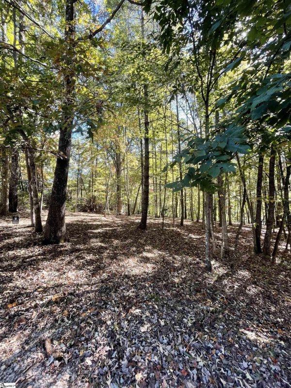 Property image 3 of 221 Ridge Haven Trail in Cliffs Valley, Travelers Rest, SC 29690