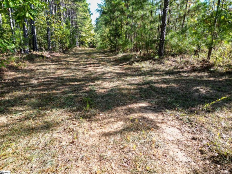 Property image 5 at 872 Dunklin Bridge Road, Fountain Inn, SC 29644