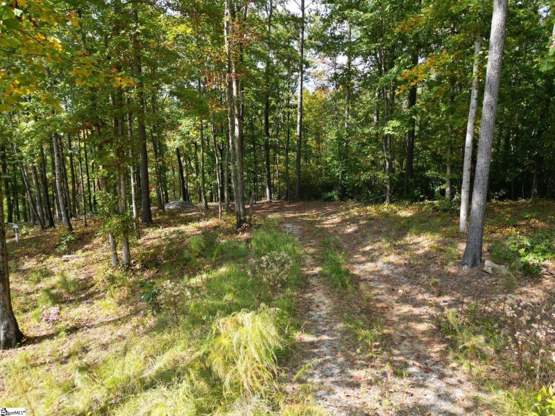 Property image 4 at 418 Sue Craig Drive, Six Mile, SC 29682