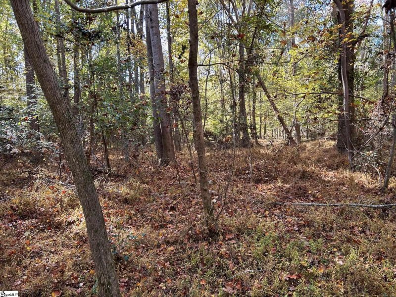 Property image 2 at 45 Burdett Mill Road, Piedmont, SC 29673