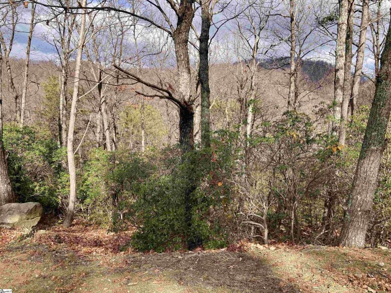 Property image 2 of 901 Mountain Summit Road in Cliffs Valley, Travelers Rest, SC 29690
