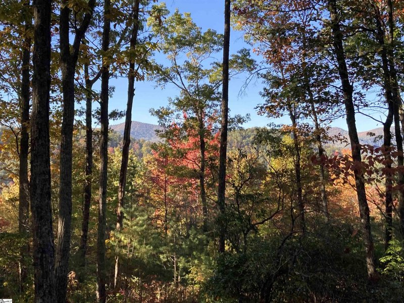 Property image 2 of White Fox Trail in The Cliffs at Mountain Park, Marietta, SC 29661