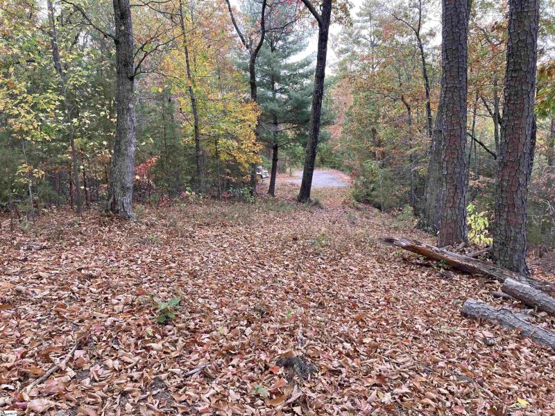 Property image 3 of White Fox Trail in The Cliffs at Mountain Park, Marietta, SC 29661