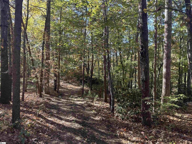 Property image 3 at 100 Passion Flower Way, Sunset, SC 29685