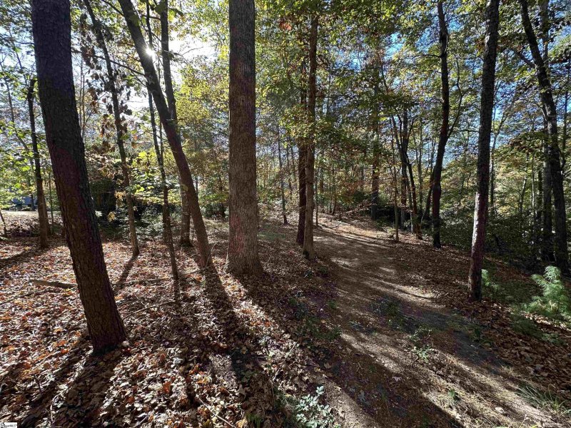 Property image 4 at 100 Passion Flower Way, Sunset, SC 29685