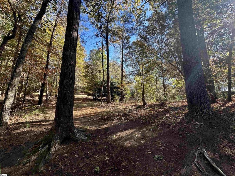 Property image 5 at 100 Passion Flower Way, Sunset, SC 29685