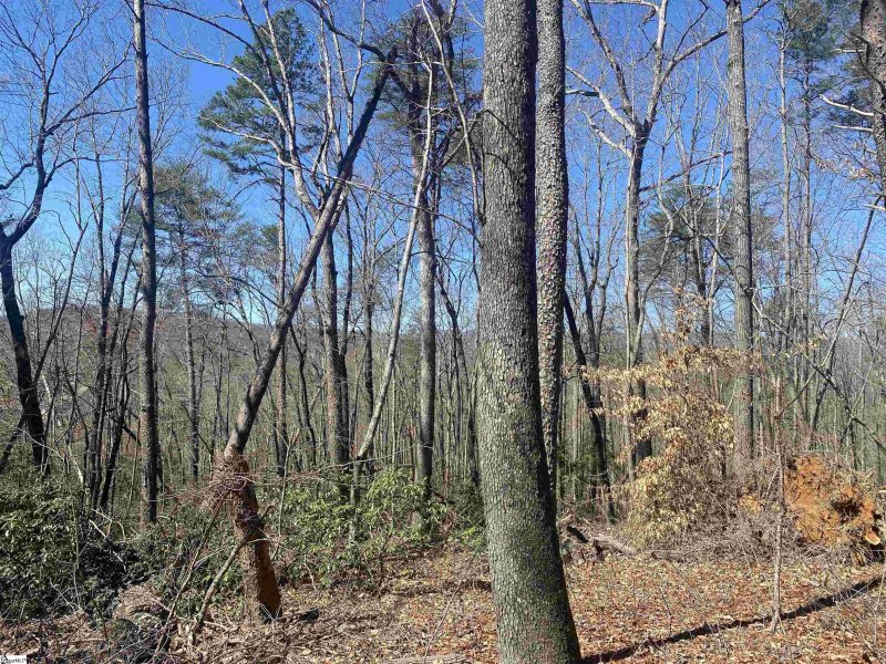 Property image 2 of 215 Luberon Lane in Crescent Mountain Vineyard, Travelers Rest, SC 29690