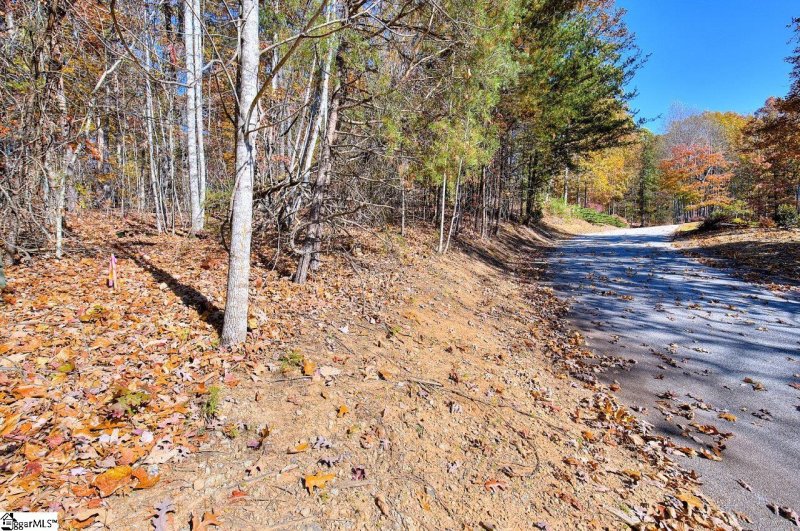 Property image 3 of 215 Luberon Lane in Crescent Mountain Vineyard, Travelers Rest, SC 29690