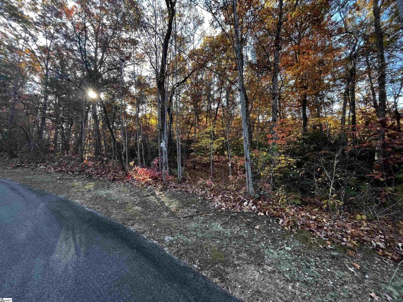 Property image 2 at 14 Alsace Way, Travelers Rest, SC 29690