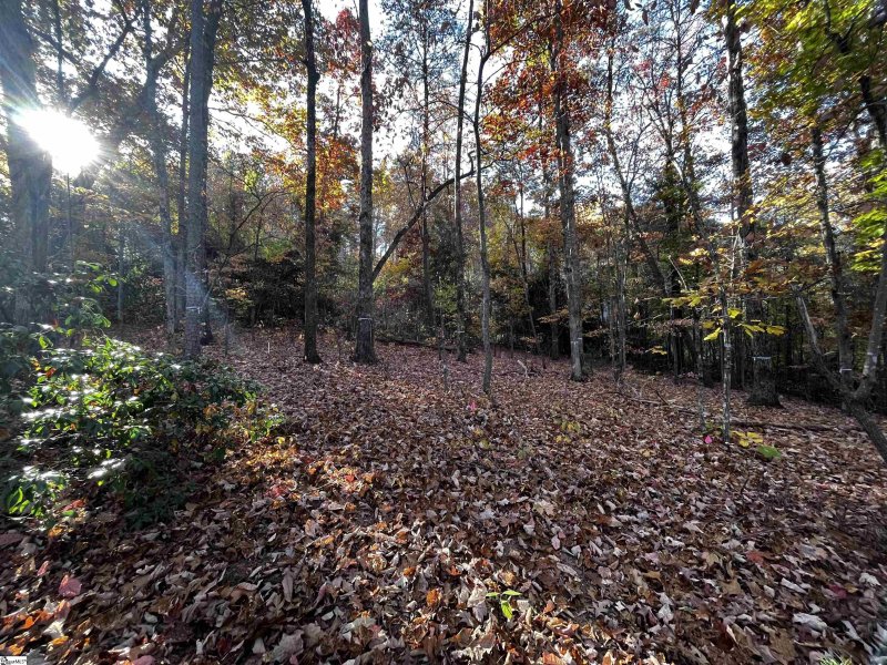 Property image 3 at 14 Alsace Way, Travelers Rest, SC 29690