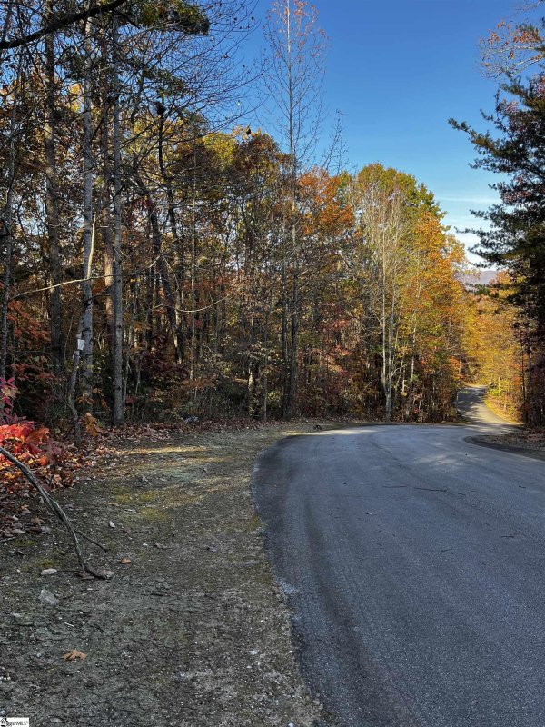 Property image 4 at 14 Alsace Way, Travelers Rest, SC 29690