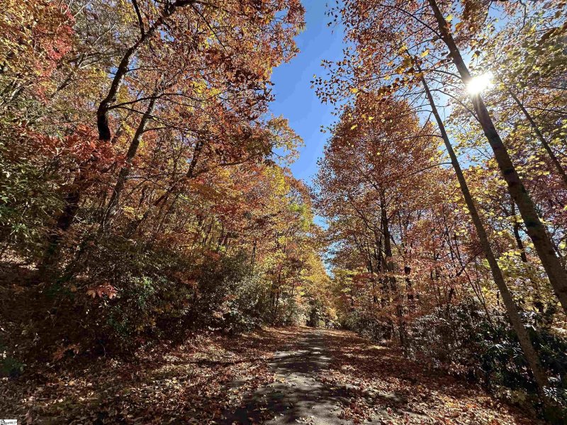 Property image 3 at 124 Birchbend Drive, Cleveland, SC 29635