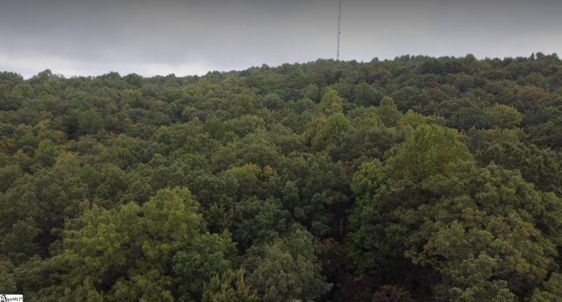 Property image 5 at 124 Birchbend Drive, Cleveland, SC 29635