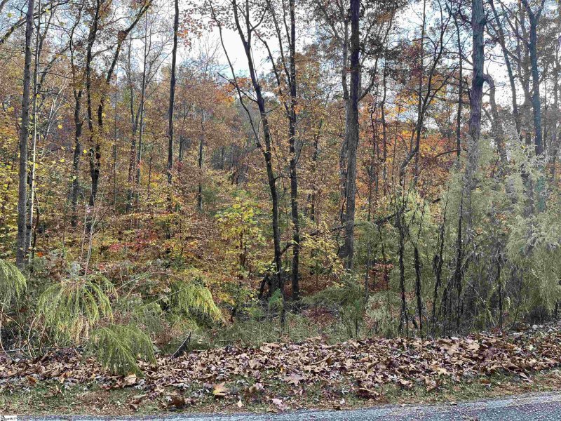 Property image 2 at 0 S Hogan Drive, Westminster, SC 29693