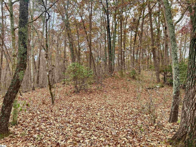 Property image 2 at 325 Highridge Parkway, Marietta, SC 29661