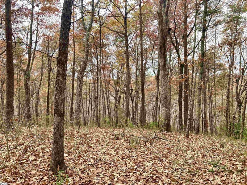 Property image 3 at 325 Highridge Parkway, Marietta, SC 29661