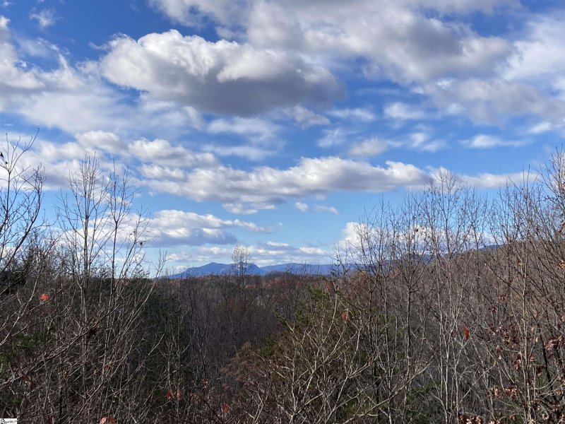 Property image 2 at 115 Duck Hawk Way, Marietta, SC 29661