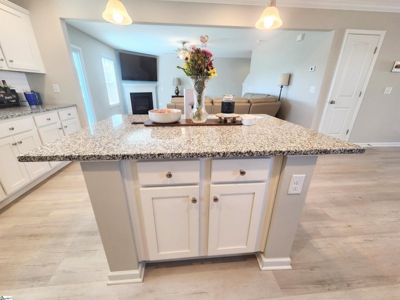 Property image 3 at 102 Thermal Court, Fountain Inn, SC 29644