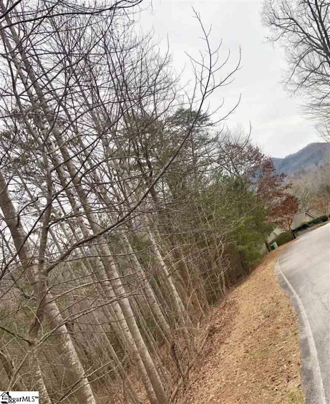 Property image 2 of 305 Sedgewick Road in Cliffs Valley, Travelers Rest, SC 29690