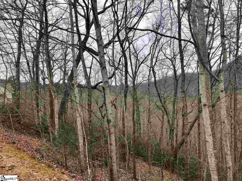 Property image 3 of 305 Sedgewick Road in Cliffs Valley, Travelers Rest, SC 29690