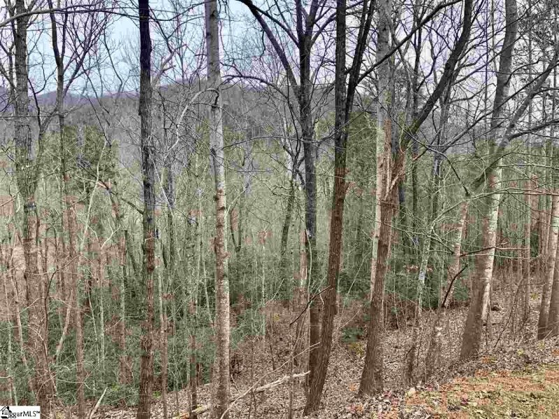 Property image 4 of 305 Sedgewick Road in Cliffs Valley, Travelers Rest, SC 29690