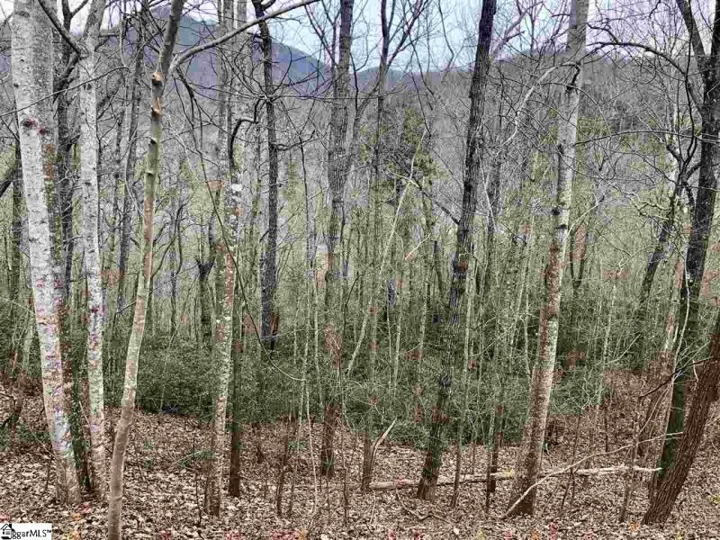 Property image 5 of 305 Sedgewick Road in Cliffs Valley, Travelers Rest, SC 29690