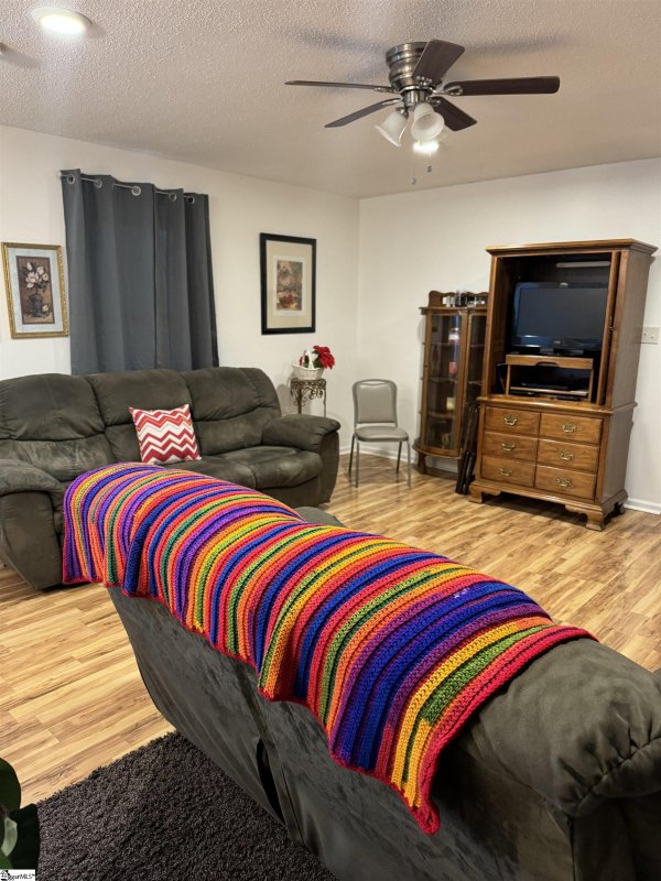 Property image 3 at 204 Placid Court, Spartanburg, SC 29307