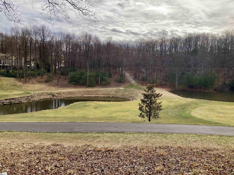 Property image 2 of 238 Snap Dragon Way in The Cliffs at Glassy, Landrum, SC 29356