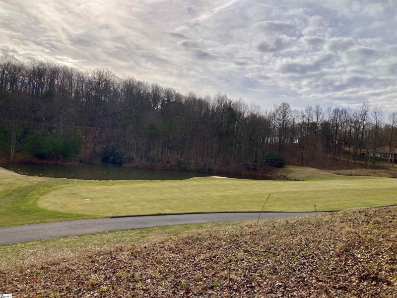 Property image 3 of 238 Snap Dragon Way in The Cliffs at Glassy, Landrum, SC 29356