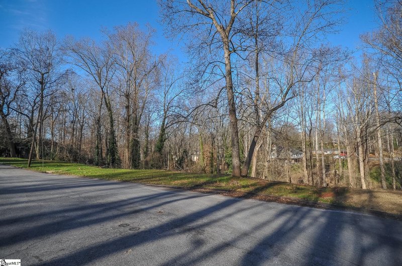 Property image 3 at 00 Ashford Avenue, Greenville, SC 29609