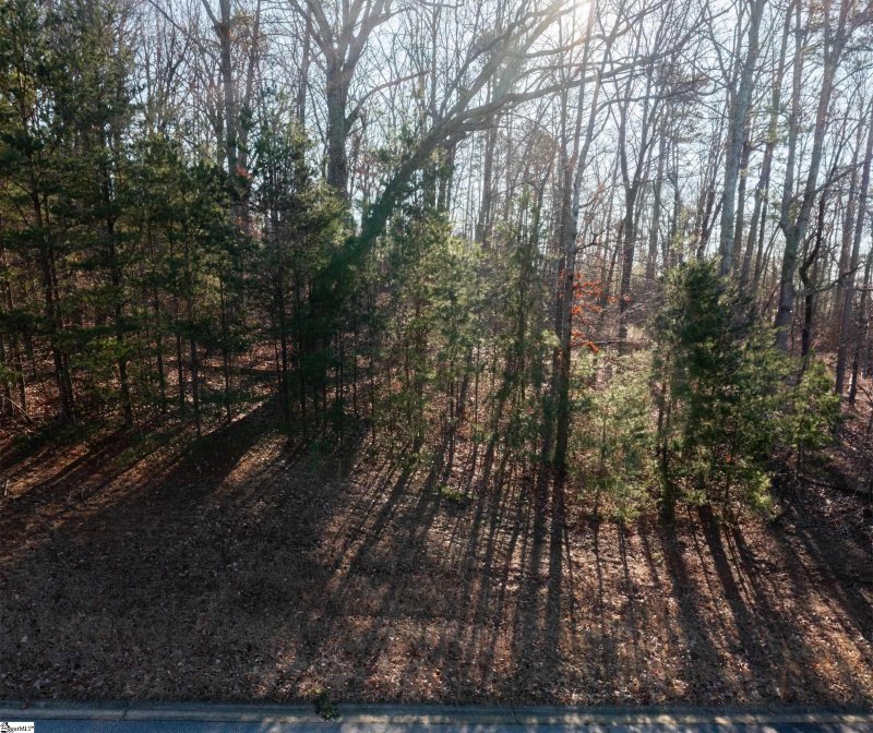 Property image 2 at 14 Donatello Court, Greenville, SC 29609