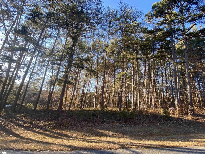 Property image 2 at VP51 Princess Tree Way, Sunset, SC 29685