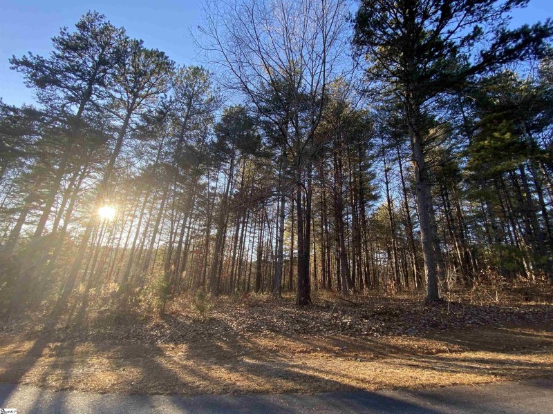 Property image 3 at VP51 Princess Tree Way, Sunset, SC 29685