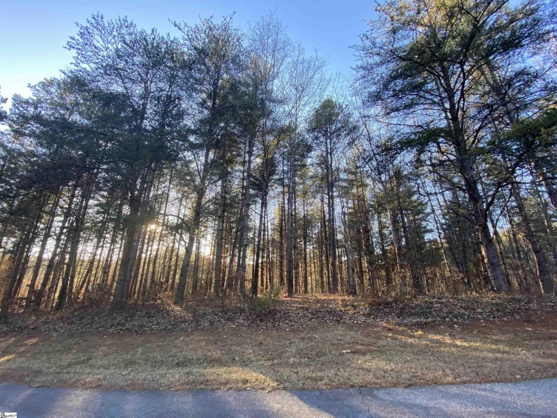 Property image 4 at VP51 Princess Tree Way, Sunset, SC 29685