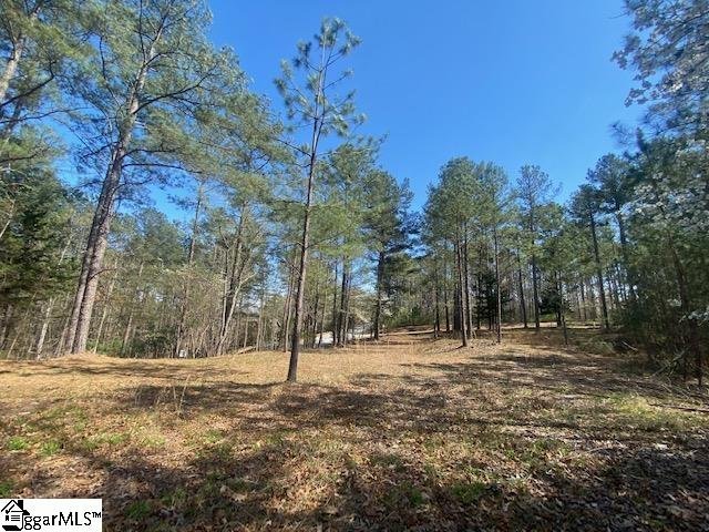 Property image 2 at 100 Northington Court, Sunset, SC 29685