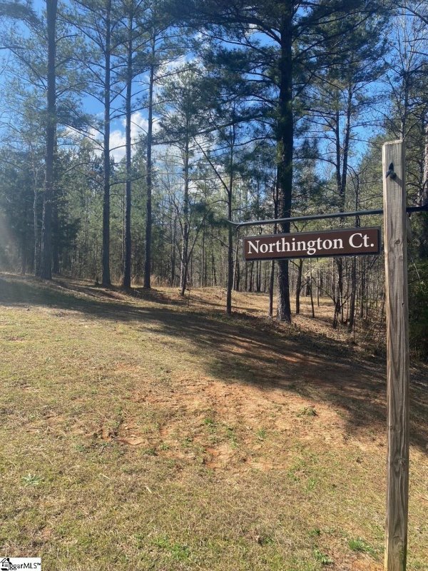 Property image 3 at 100 Northington Court, Sunset, SC 29685