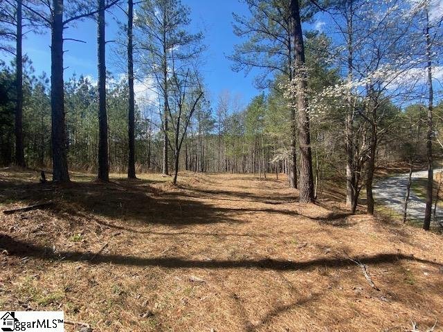 Property image 4 at 100 Northington Court, Sunset, SC 29685