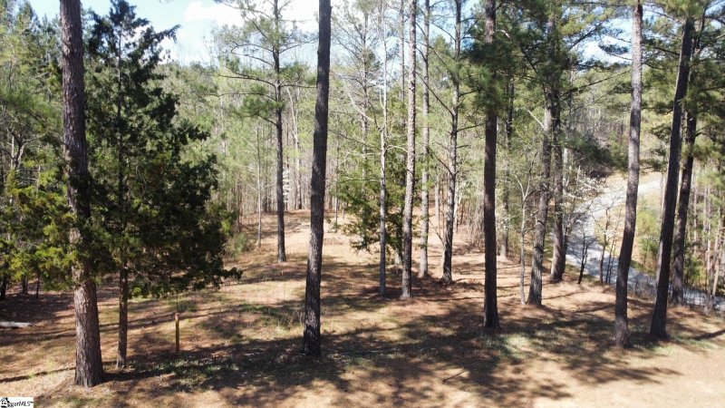 Property image 5 at 100 Northington Court, Sunset, SC 29685