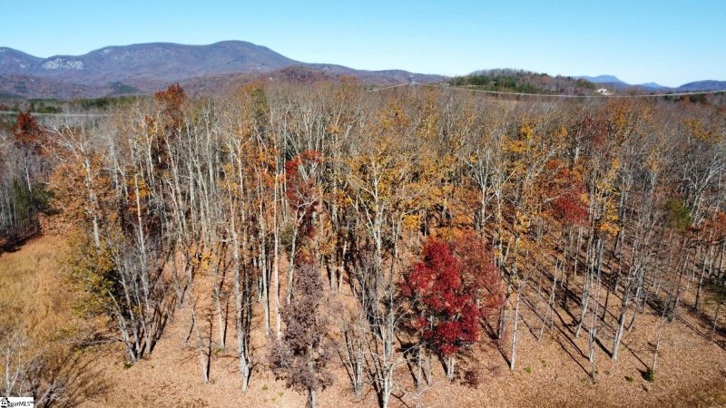 Property image 3 at 65 Stone Cottage Lane, Landrum, SC 29356