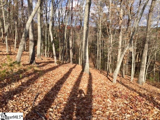 Property image 3 of 450 Highridge Parkway in The Cliffs at Mountain Park, Marietta, SC 29661