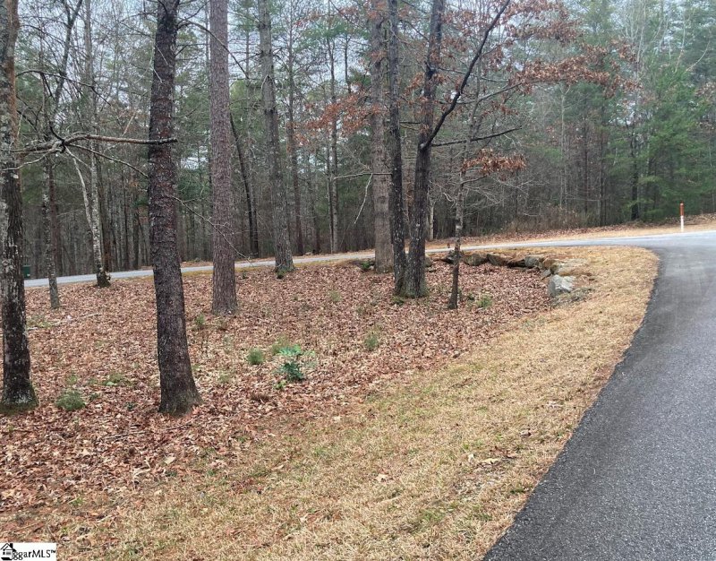 Property image 3 of 105 Chicory Lane in The Cliffs at Keowee Vineyards, Sunset, SC 29685